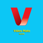 VieϺate Video Downoalder Guide icon