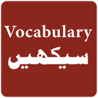 English Vocabulary in Urdu icône