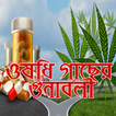 ঔষধি গাছের গুণাবলী