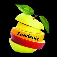 Landvoiz Hd تصوير الشاشة 1