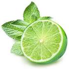 آیکون‌ Lime call