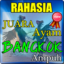 RAHASIA JUARA AYAM BANGKOK BOTOH TUA TERBARU APK