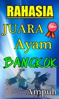 RAHASIA JUARA AYAM BANGKOK BOTOH TUA TERBARU Screenshot 3