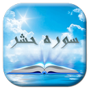 سوره حشر با صوت و معنی APK
