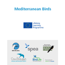 Mediterranean Birds APK