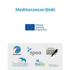 Mediterranean Birds icon