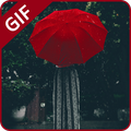 Rain Gif