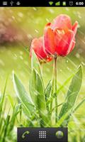 Lluvia De Fondos captura de pantalla 1