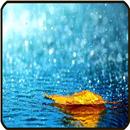 Rain Wallpaper APK