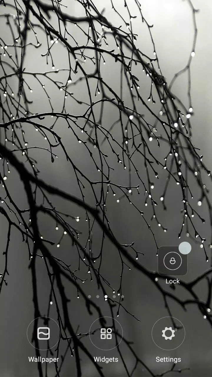 Rain Wallpaper APK for Android Download Rain Wallpaper APK for Android Download