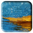 Fonds d'écran de pluie APK