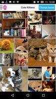 Best Cute Animal Photos plakat