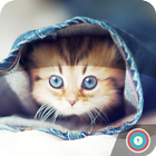 آیکون‌ Cat Cute Wallpaper Lockscreen