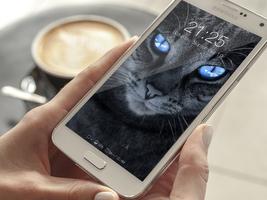 Cat Cute Wallpaper Lockscreen Affiche