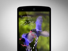 Birds Wallpaper HD Lockscreen syot layar 2