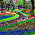 Icona Rainbow Garden Live Wallpaper