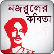 নজরুলের কবিতা