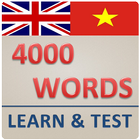 Icona 4000 Tu Anh Viet