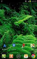 Rain Forest HD Live Wallpaper-poster