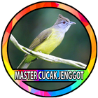 Masteran Burung Cucak Jenggot icono