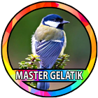 Kicau Burung Gelatik 圖標