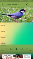 Kicau Burung Gelatik 截圖 2