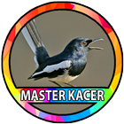 Kicau Burung Kacer آئیکن