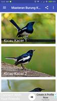 Kicau Burung Kacer پوسٹر