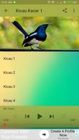Kicau Burung Kacer اسکرین شاٹ 2