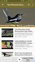 Kicau Burung Kacer اسکرین شاٹ 3