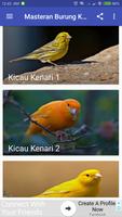 Kicau Burung Kenari پوسٹر