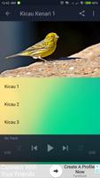 Kicau Burung Kenari اسکرین شاٹ 2