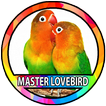 Kicau Burung Lovebird