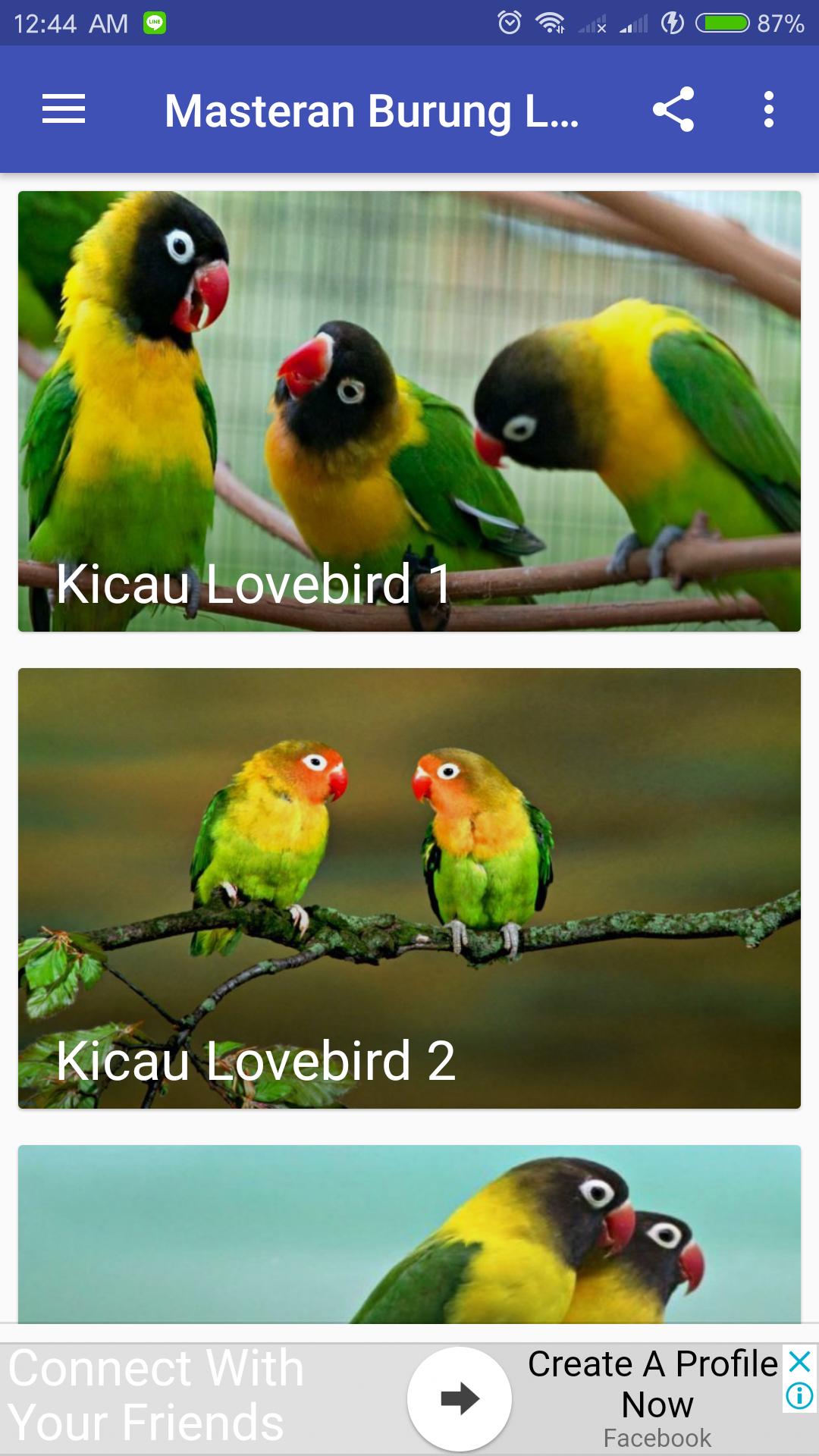 Kicau Burung Lovebird For Android Apk Download