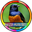 Kicau Burung Murai Batu icono