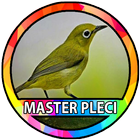 Kicau Burung Pleci آئیکن