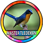 Kicau Burung Tledekan Gunung-icoon