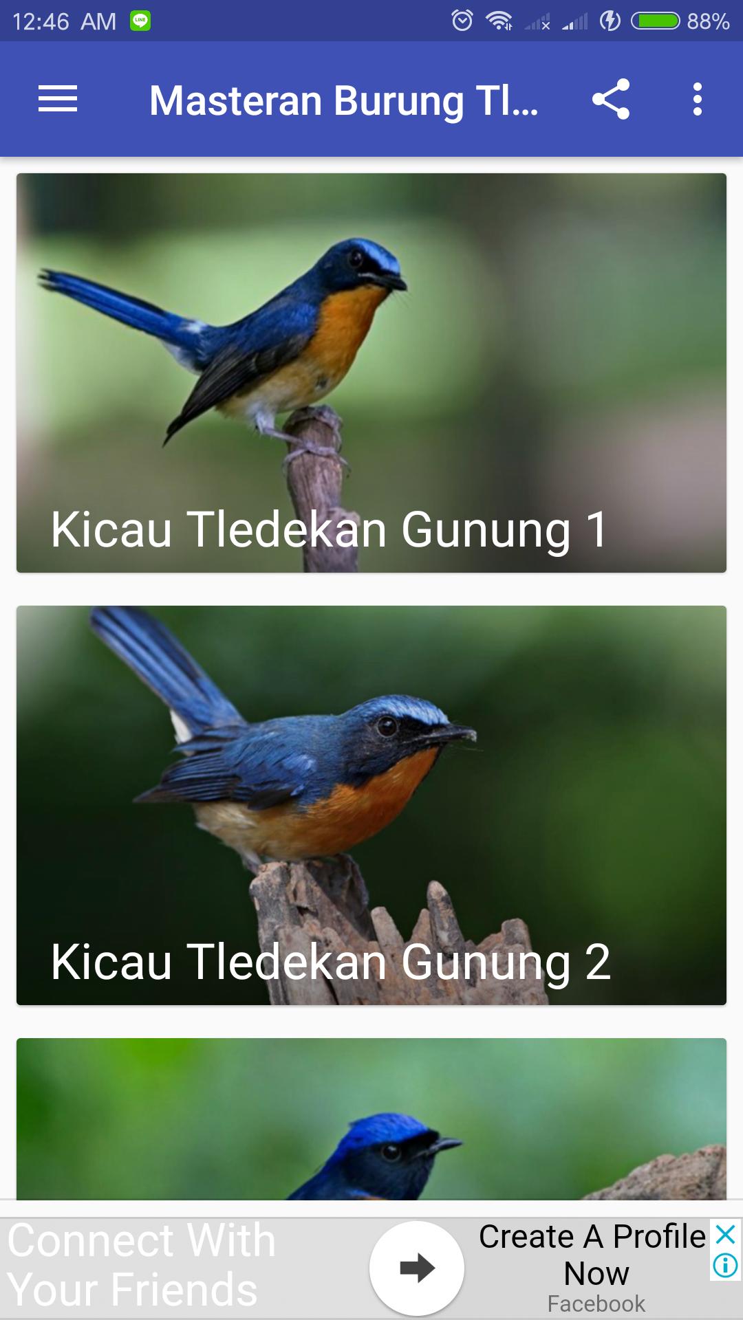 Kicau Burung Tledekan Gunung for Android - APK Download