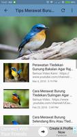 Kicau Burung Tledekan Gunung screenshot 3