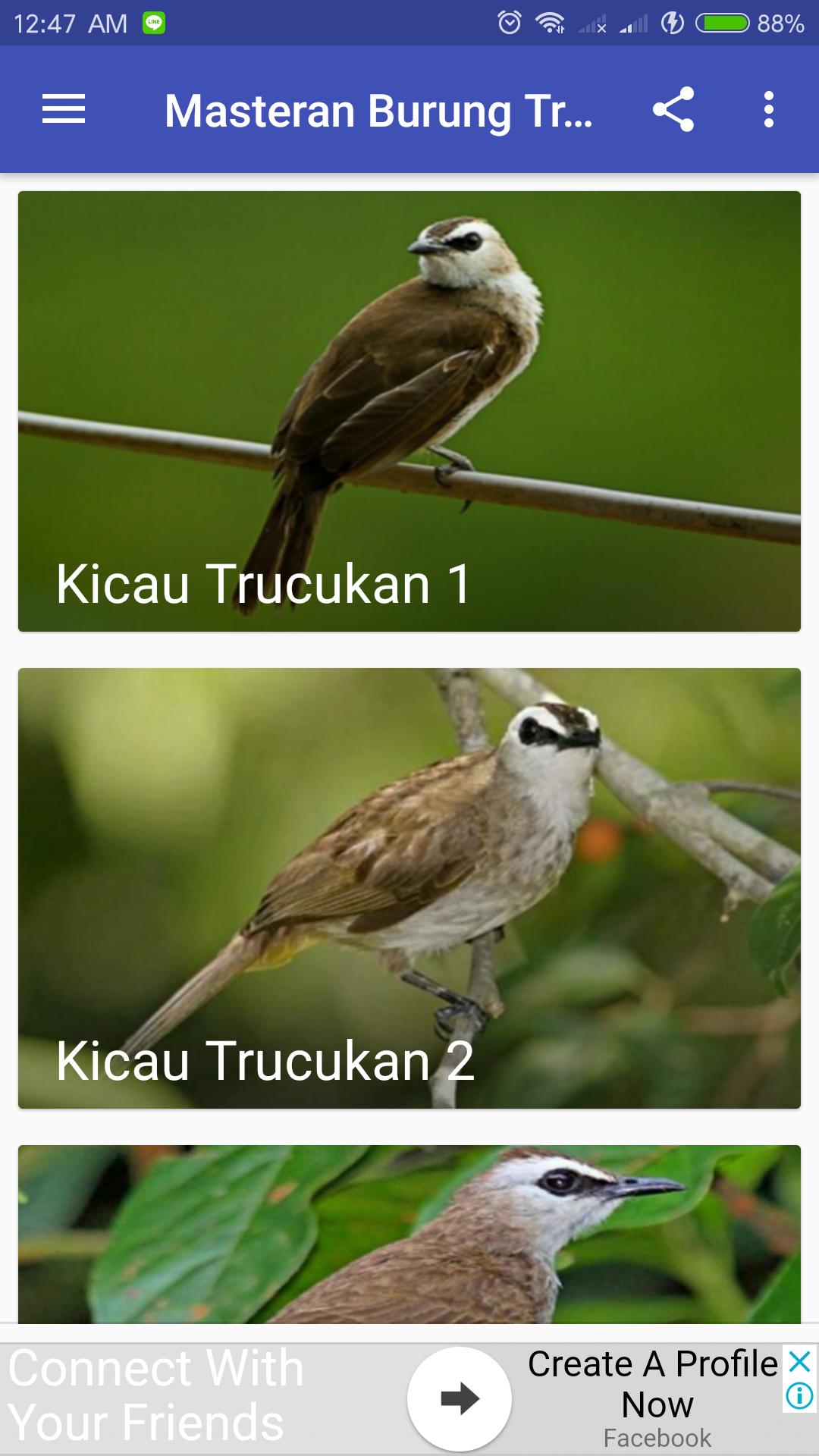 Kicau Burung Trucukan For Android Apk Download