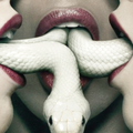 BIG SNAKE