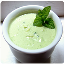 Indian Raita Recipes APK
