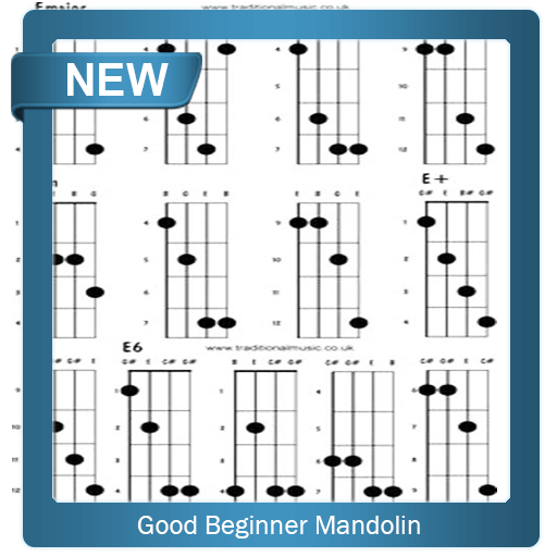 Good Beginnd Mandolin