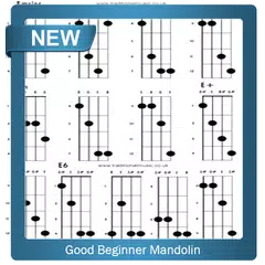 Good Beginner Mandolin APK download