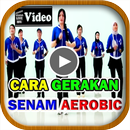 Video Gerakan Senam Aerobik APK