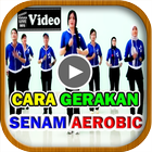 Video Gerakan Senam Aerobik-icoon