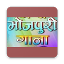 Bhojpuri Videos - Bhojpuri AtoZ ,Bhojpuri Allinone APK