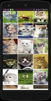 Cat Wallpapers capture d'écran 2