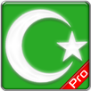 Prayer Times Pro: Azan, Quran  APK