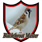 Master Kicau Kenari Blackthroat ícone